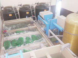 废水处理设备生产